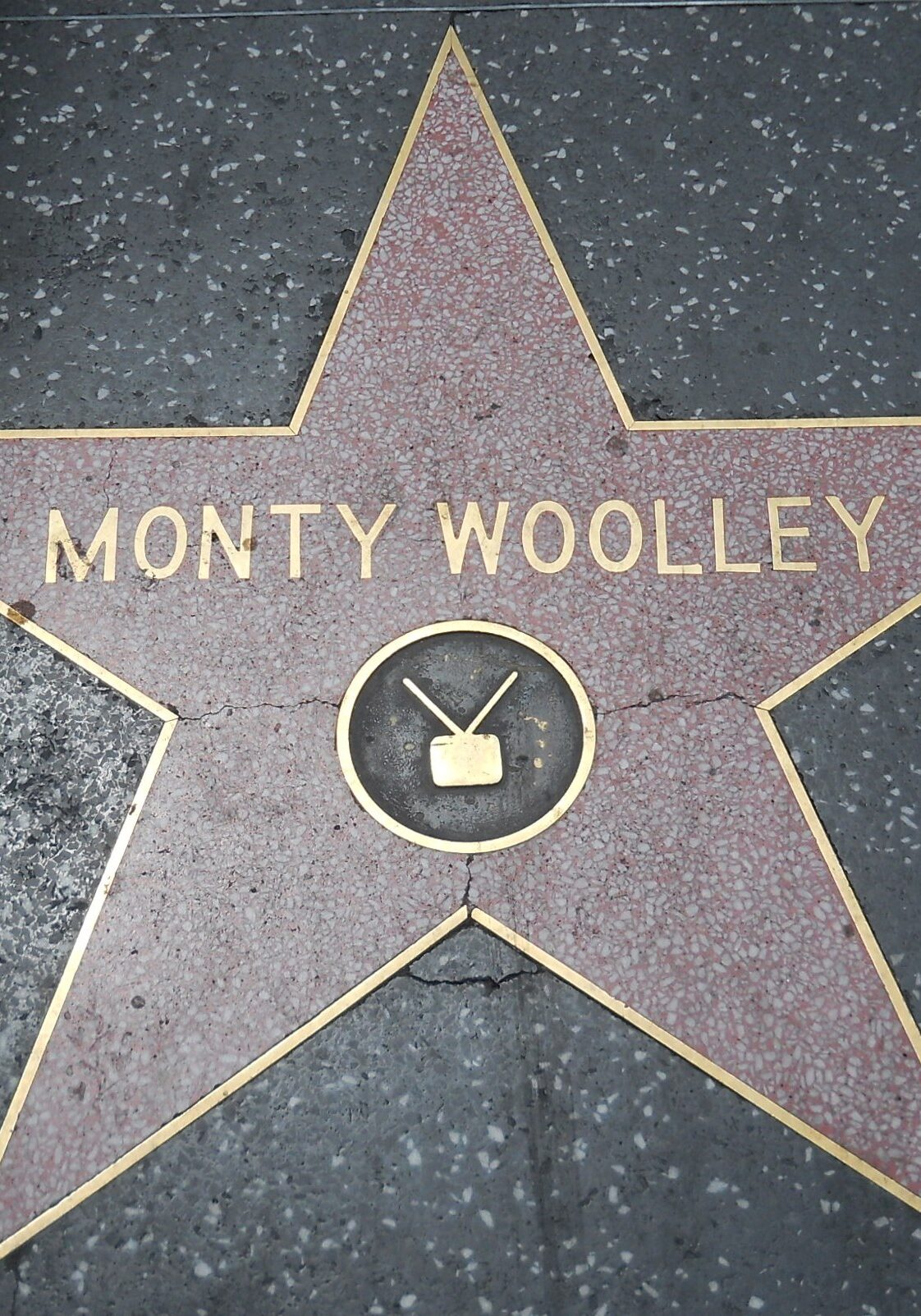 The Hollywood Walk of Fame is 18 wonderful blocks of terrazzo underfoot.